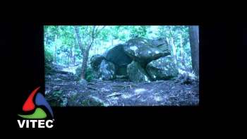 Presença humana na Terceira anterior à descoberta portuguesa - Terceira Dimensão 2088