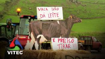 Produtores de leite e carne protestam - Infoco 575