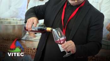 Wine In Azores Terceira decorre de 19 a 21 de novembro - InFoco 576