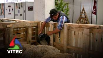 Alunos do Curso de Produção Agropecuária realizam II Mini Feira Agrícola - Infoco 676