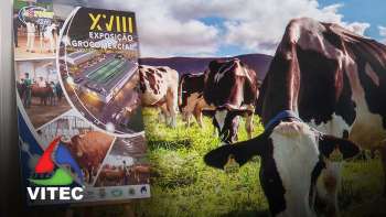 Está de regresso a Feira Agroter e Exposição Agrocomercial - InFoco 679