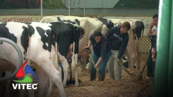 XVIII Feira Agroter volta para reforçar o setor agropecuário - Infoco 683