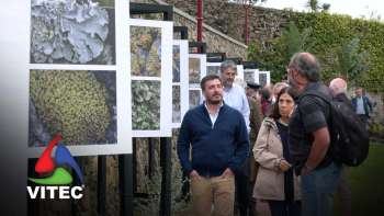 Importância dos líquenes e briófitos - Terceira Dimensão 2266