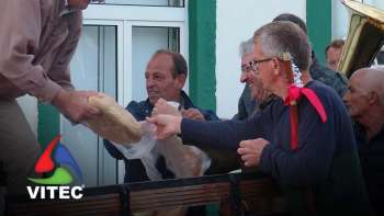 Cortejo da Mordemia do 1º Bodo da Vila Nova - Terceira Dimensão 2270