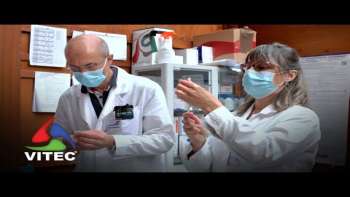 Vacinação de crianças entre os 5 e 11 anos arranca nos Açores - InFoco 608