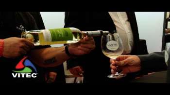 Sessão de abertura do Wine in Azores Terceira 2022 - InFoco 673