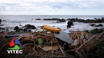 Vontade de proteger o mar que nos rodeia - Terceira Dimensão 2152