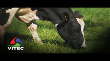 Sistema “pioneiro” auxilia criadores de gado - Infoco 627