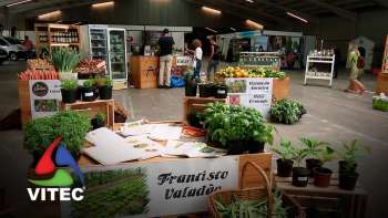 Bio Feira dos Açores ganhou maior dimensão - InFoco 704