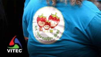 CATL Os Moranguinhos com comida tradicional terceirense – Terceira Dimensão 2302