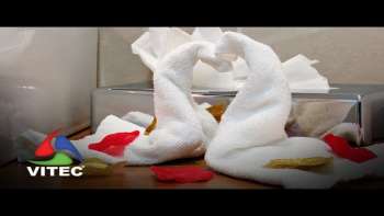 Hotéis - Dia dos Namorados e impacto da Covid 19 - Infoco 629