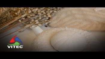 Criatividade sustentável dá lugar a eco-têxteis inspirados nos Açores - Terceira Dimensão 2225