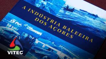 A Atividade Baleeira pelo olhar de José Carlos Garcia - Infoco 743