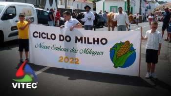 Serreta - Bodo de Leite