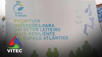 Setor Leiteiro no Mapa Europeu