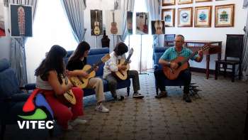 Violas da Terra em exposição