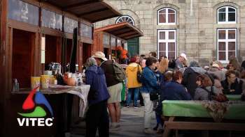 Praça Velha volta a acolher festejos do Dia de São Martinho