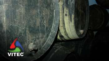 Aprender sobre a história terceirense numa viagem na companhia do vinho