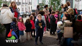 Colégios decoram árvores de Natal em Angra do Heroísmo