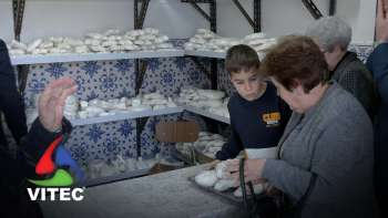 Devoção a Santo Amaro com grande expressão na freguesia da Ribeirinha