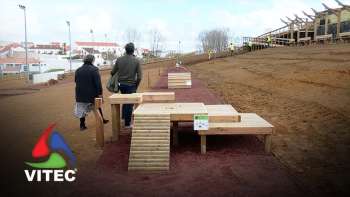 Ilha Terceira tem o seu primeiro Parque Canino