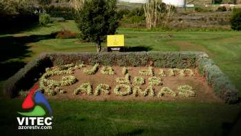 Terceira Dimensão Júnior Segunda Temporada Jardim dos Aromas