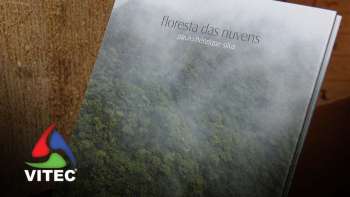 Uma abordagem estética da Floresta das Nuvens