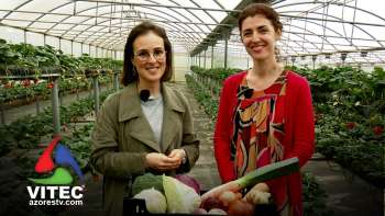 Terceira Dimensão Júnior - Segunda Temporada - Vamos falar de alimentação