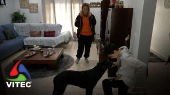 Duas crianças da ilha Terceira a beneficiar já dos treinos da Associação Pata D'Açúcar