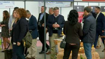 Produtores locais ganharam expressão no Wine in Azores Terceira