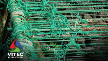 Edifício de apoio ao Porto de São Mateus da Calheta soluciona parte dos problemas do setor na vila