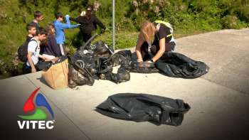 Projeto Erasmus promove preservação do ambiente nos Açores