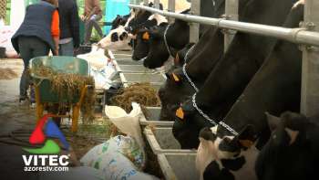 Feira Açores é montra de qualidade da produção agrícola regional