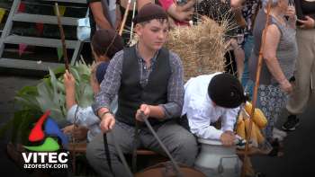 Bodo de Leite da Serra da Ribeirinha recorda tradições de família