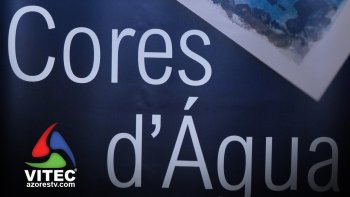 Catarina Grilo estreia-se com exposição em Angra do Heroísmo