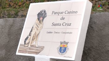 Praia da Vitória também já tem um parque canino com a vertente lúdica, de treino e competição
