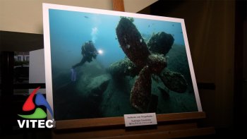 Novas áreas marinhas e mergulho em destaque na Graciosa