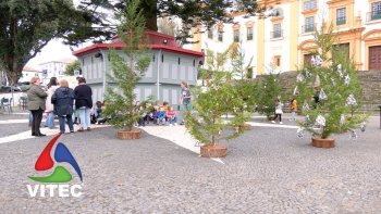 Crianças envolvem se na decoração de Natal de Angra do Heroísmo