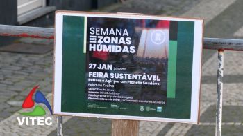 Semana das Zonas Húmidas assinalada na Praia da Vitória