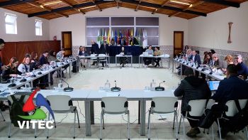 Praia da Vitória tem regulamentos que permitem isenção de taxas nas festas de freguesia