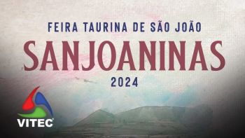 12 Anos depois, cavaleiro João Ribeiro Telles regressa às Sanjoaninas