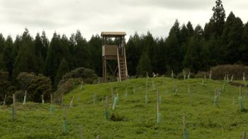 Está em avanço o projeto do Jardim Botânico da Matela na Terra-Chã