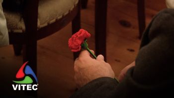 25 de abril na Ilha Terceira, com a esperança de continuar a celebrar a liberdade, pelo menos, por m