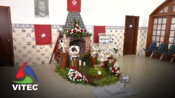 Envolver os jovens na devoção ao Espírito Santo