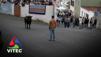 Tourada à Corda no Largo da Fonte da Ribeirinha a 1 de maio - 4ª Parte