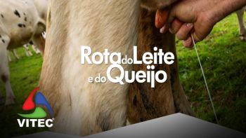Rota do Leite e do Queijo da Terceira valoriza setor leiteiro