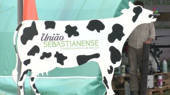 Produtores desmotivados e a pedir novas medidas