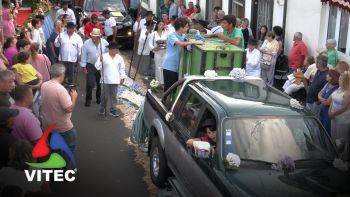 “Tauromaquia, Cultura e Tradição” foi tema do cortejo do bodo de leite na Serra da Ribeirinha