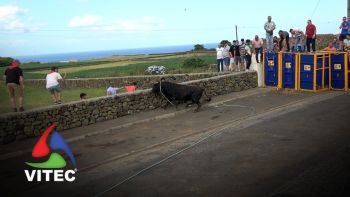 Tourada na Casa da Ribeira com a Ganadaria Gil Rocha