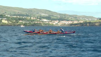 Dia de Bodo de Leite em São Mateus da Calheta com a hospitalidade característica